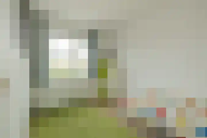 Tongelaer 106 Hillegom thumbnail 42