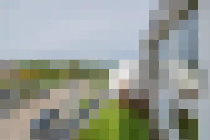 Tongelaer 106 Hillegom thumbnail 52