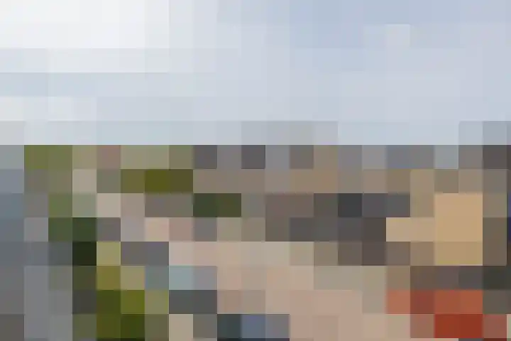 Tongelaer 106 Hillegom thumbnail 54