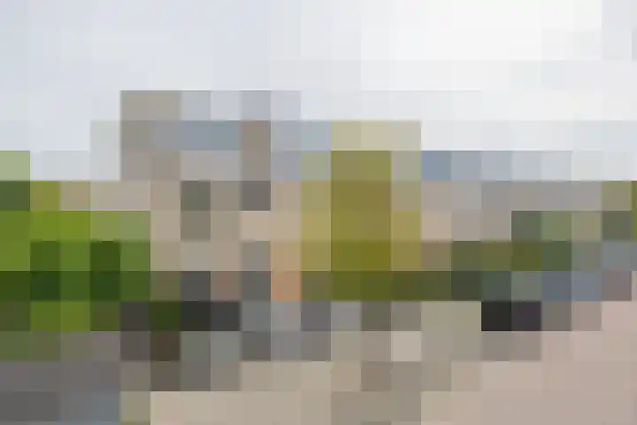 Tongelaer 106 Hillegom thumbnail 55