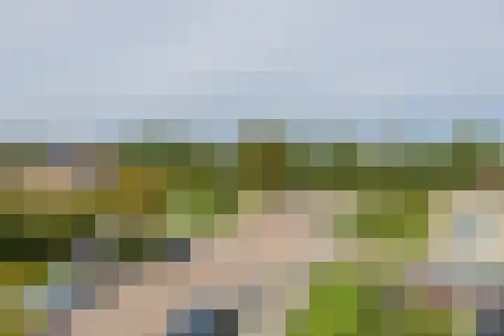 Tongelaer 106 Hillegom thumbnail 56