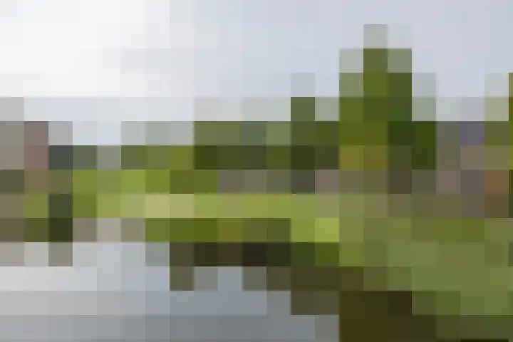 Tongelaer 106 Hillegom thumbnail 57