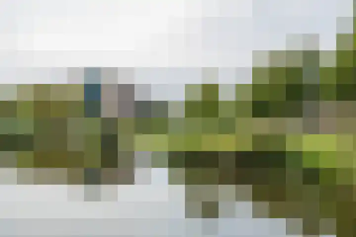 Tongelaer 106 Hillegom thumbnail 59