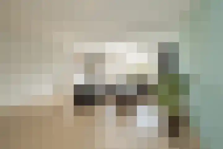 Tongelaer 106 Hillegom thumbnail 8