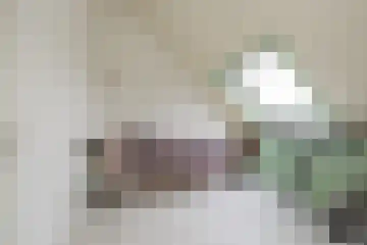 Tongelaer 139 Hillegom thumbnail 32