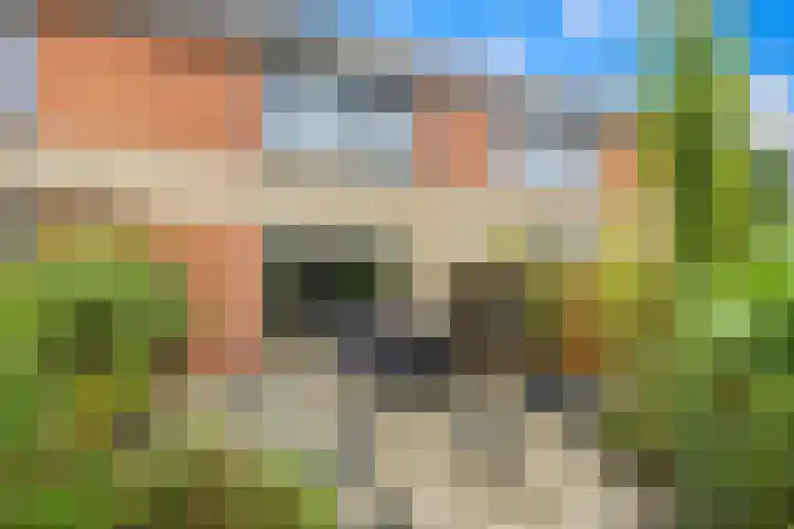 Tongelaer 139 Hillegom thumbnail 34