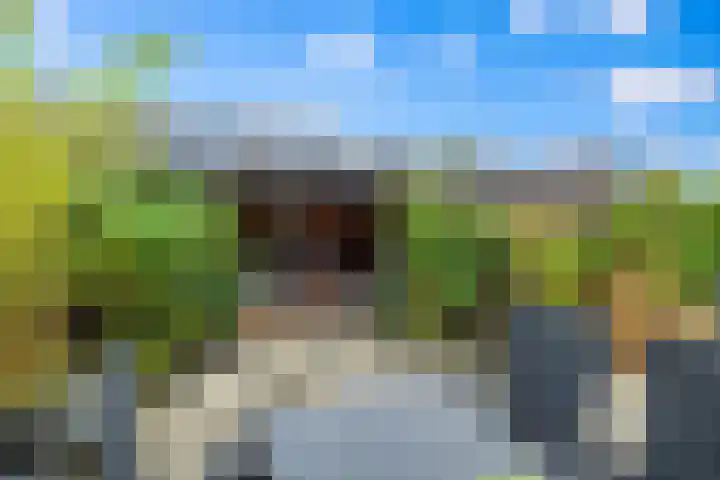 Tongelaer 139 Hillegom thumbnail 35