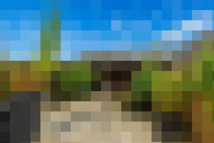 Tongelaer 139 Hillegom thumbnail 36