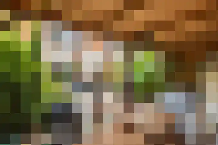 Tongelaer 139 Hillegom thumbnail 38