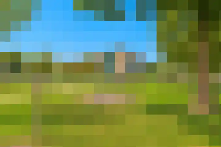 Tongelaer 139 Hillegom thumbnail 39