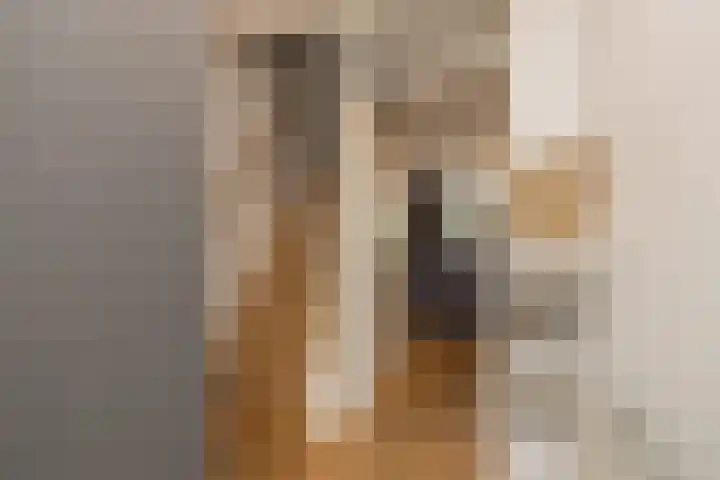 Tongelaer 139 Hillegom thumbnail 8