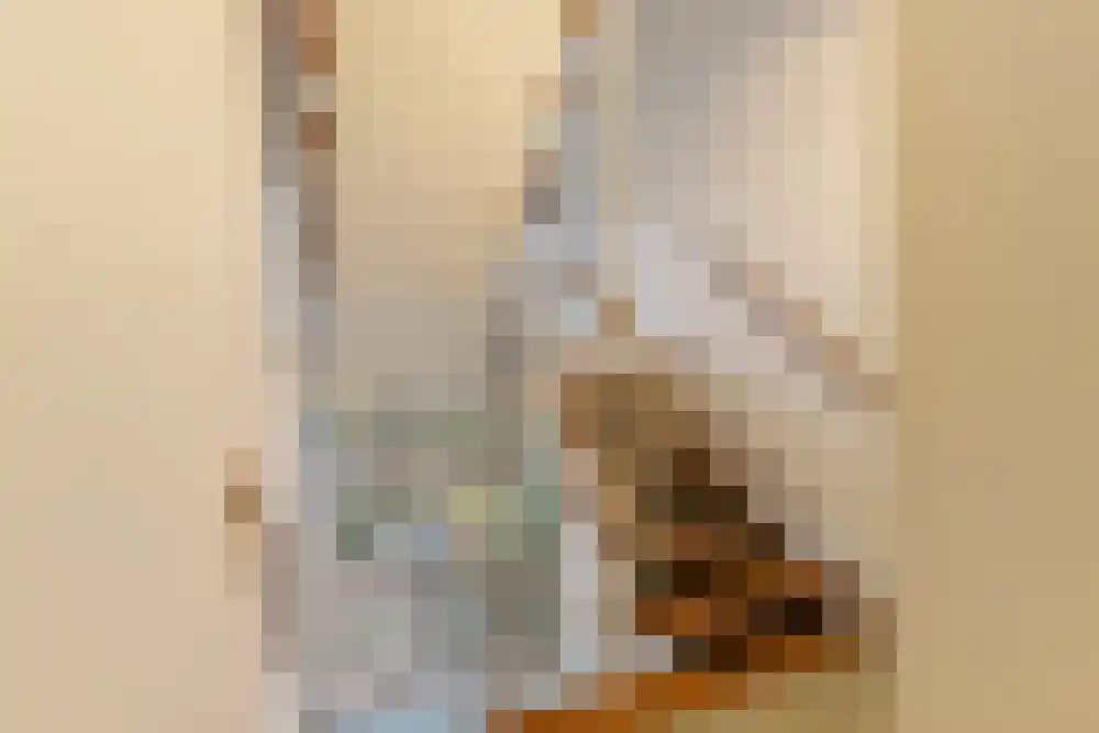 Tongelaer 15 1 Amsterdam thumbnail 17