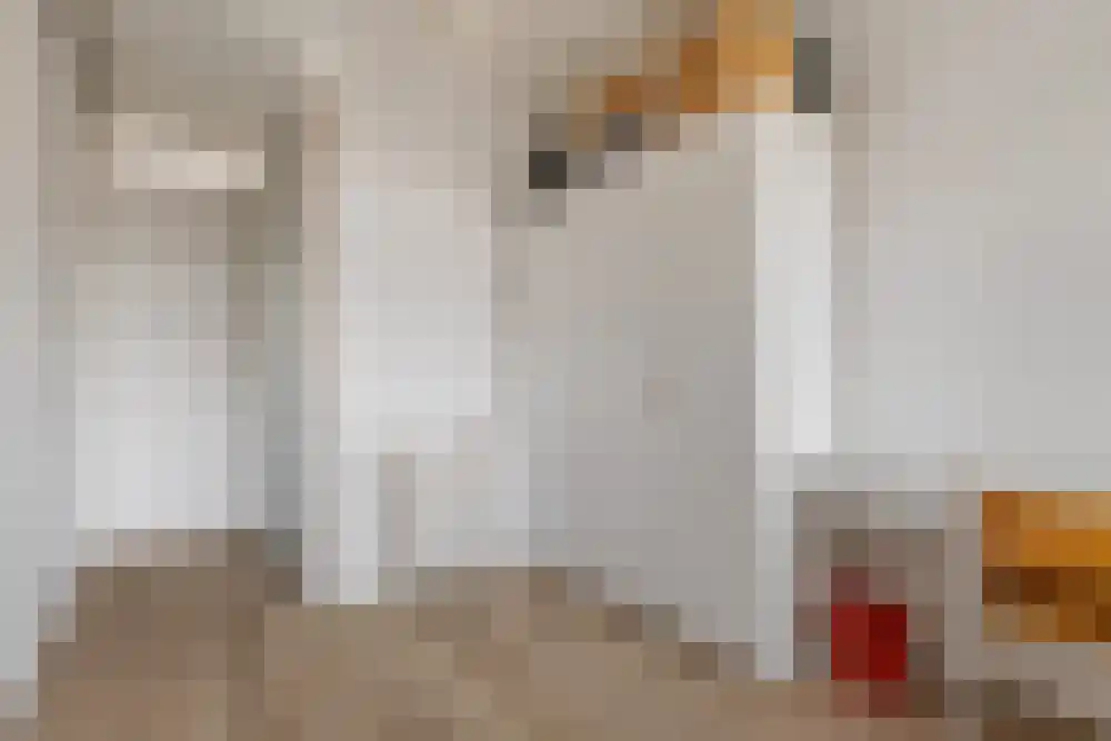 Tongelaer 15 3 Amsterdam thumbnail 12