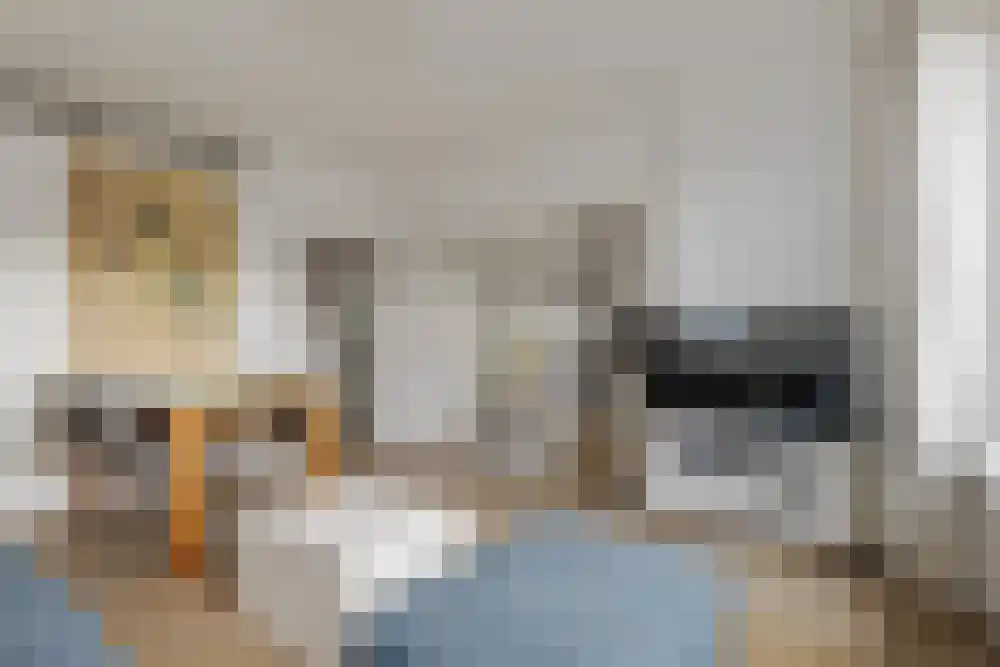 Tongelaer 15 3 Amsterdam thumbnail 6