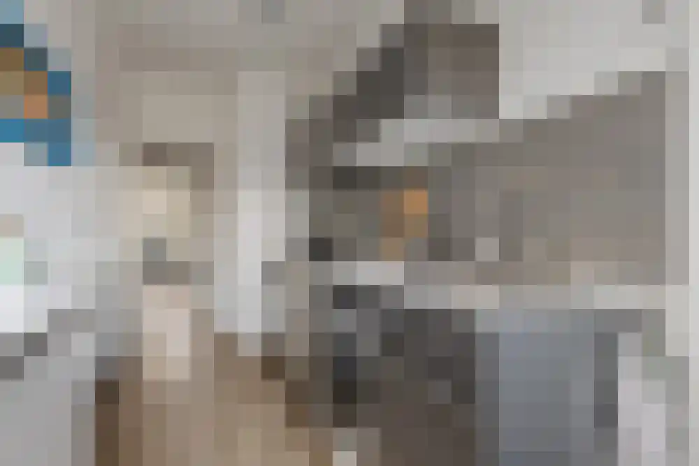 Tongelaer 15 3 Amsterdam thumbnail 8
