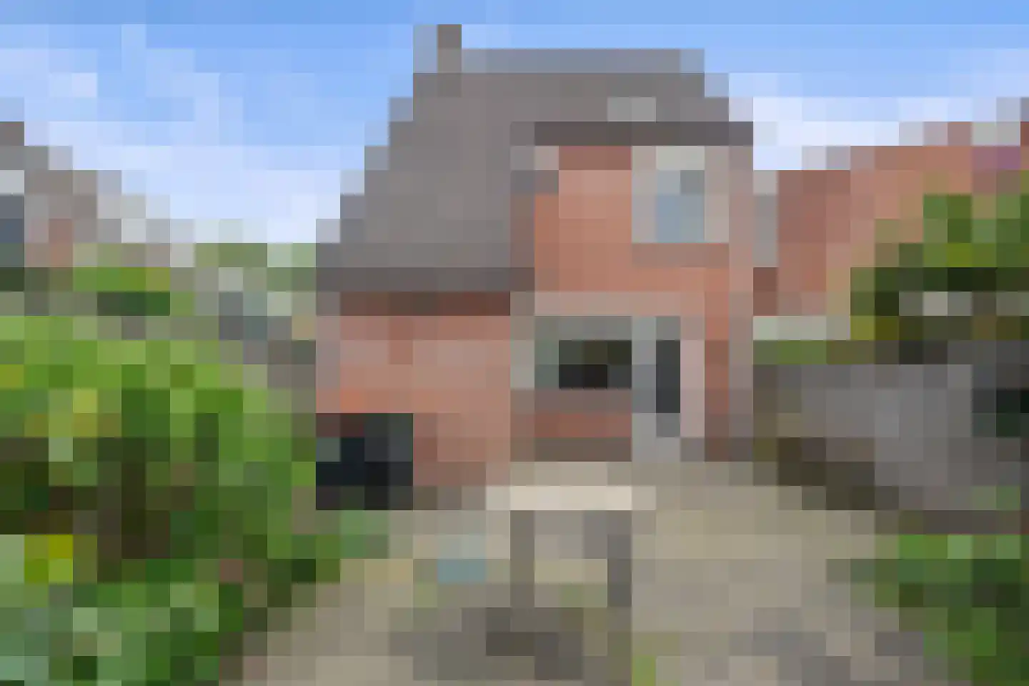 Tongelaer 44 's-Hertogenbosch thumbnail 32