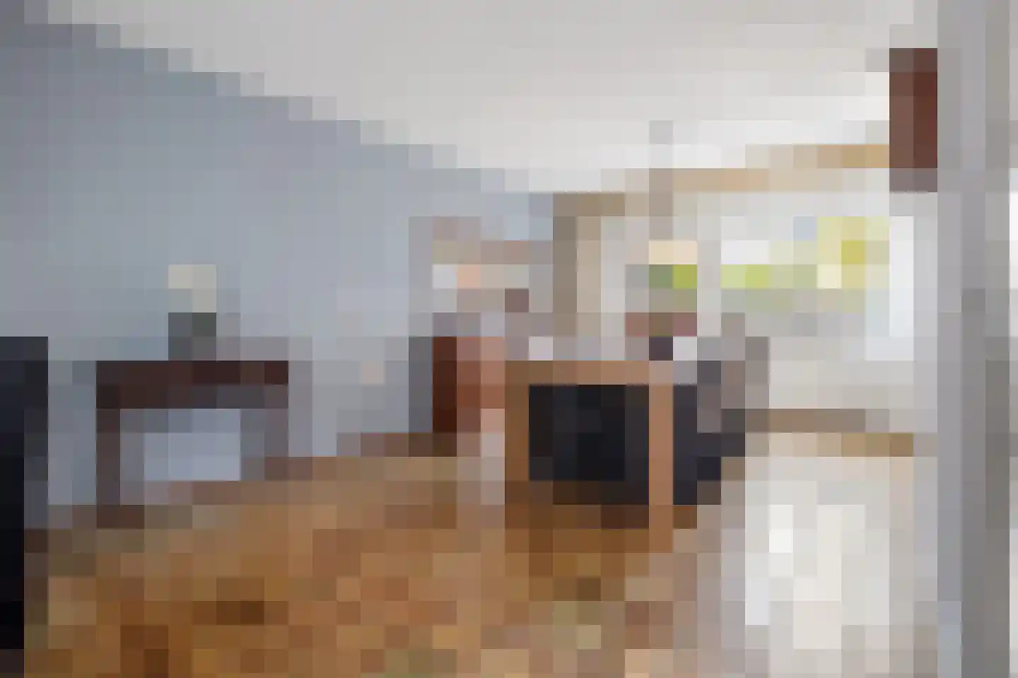 Tongelaer 44 's-Hertogenbosch thumbnail 8