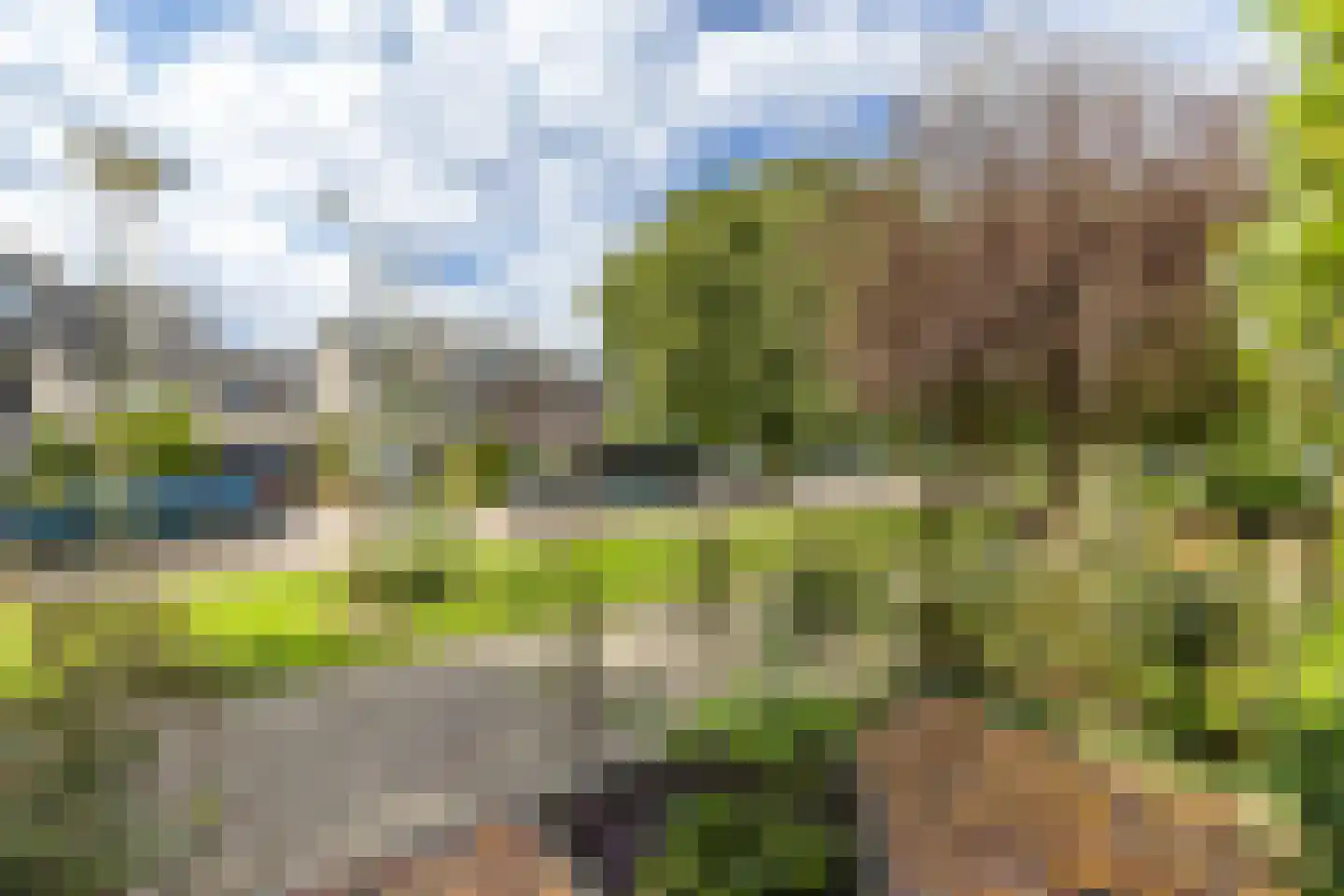 Tongelaer 8 Hillegom thumbnail 15