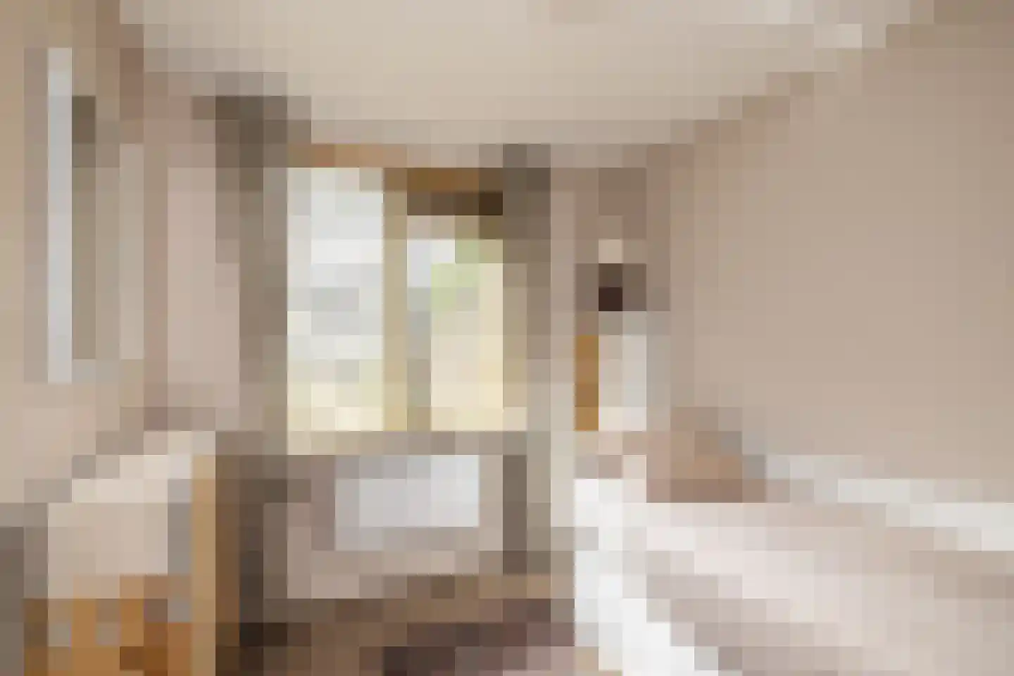 Tongelaer 8 Hillegom thumbnail 30
