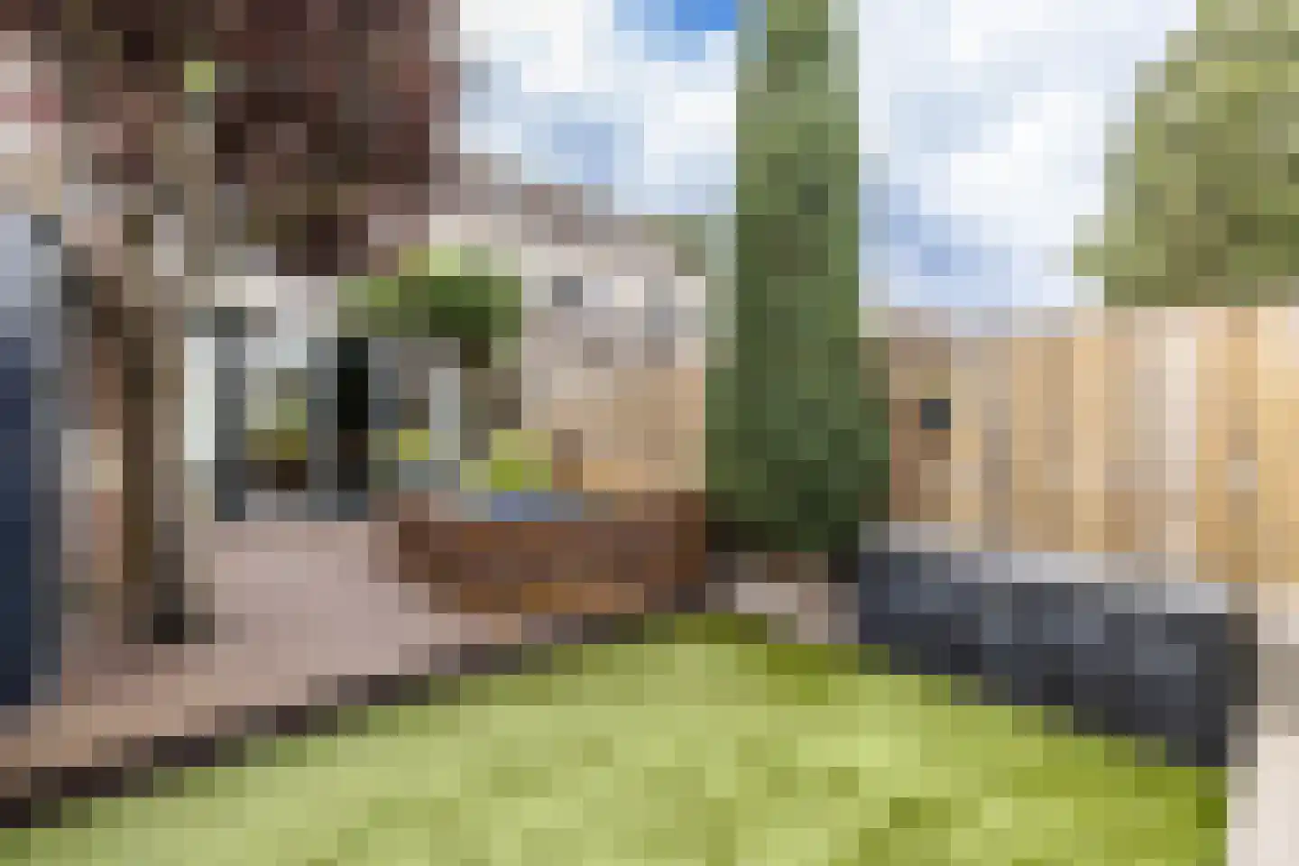 Tongelaer 8 Hillegom thumbnail 42
