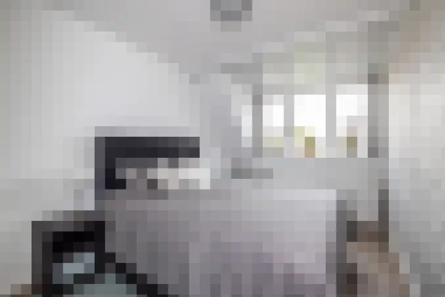 Tongelaer 8 Hillegom thumbnail 8
