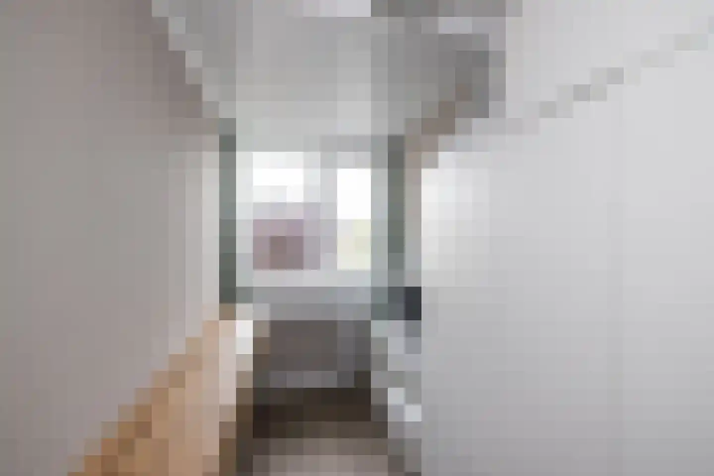 Tongelaer 8 Hillegom thumbnail 9
