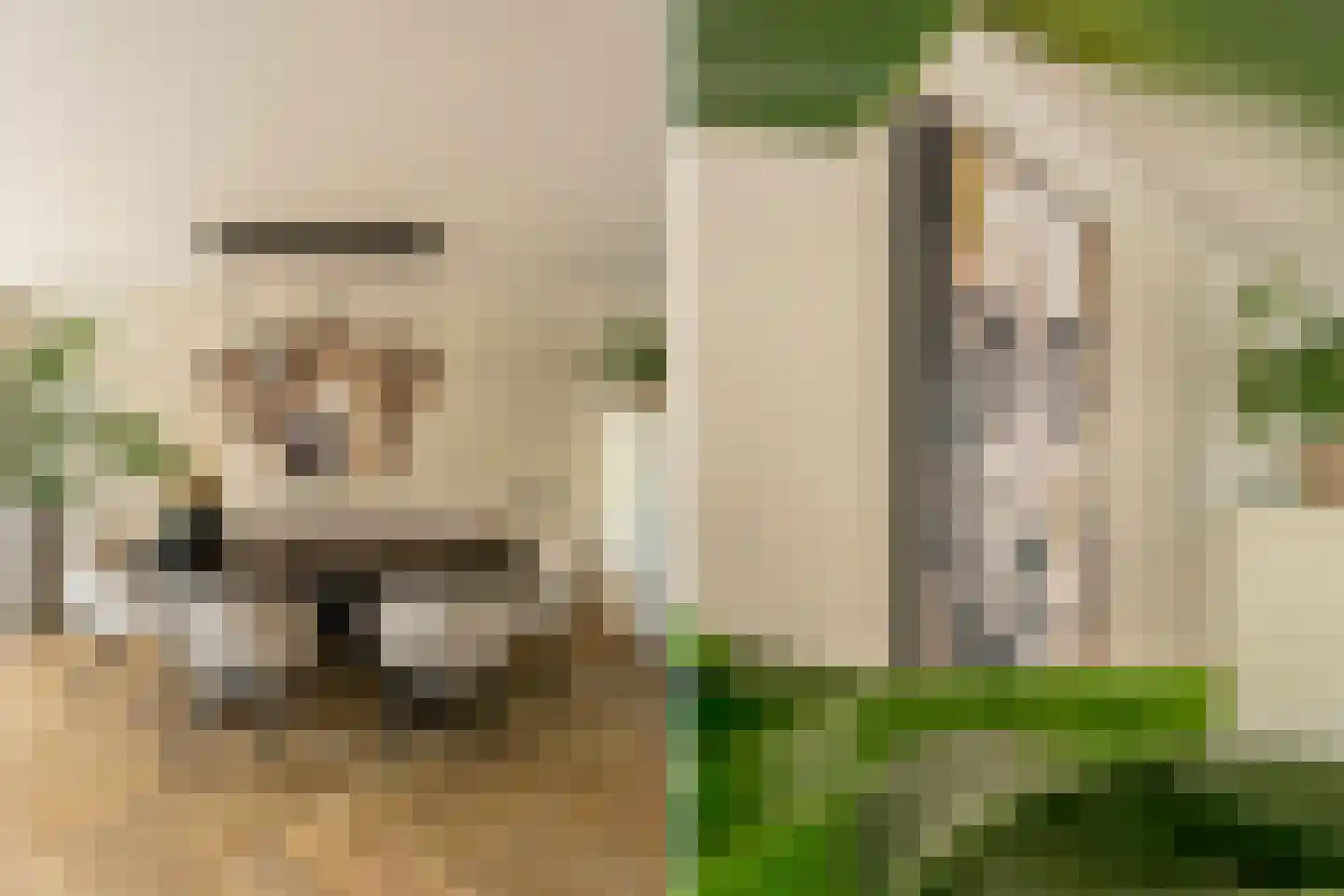 Tongelaer 96 Hillegom thumbnail 10
