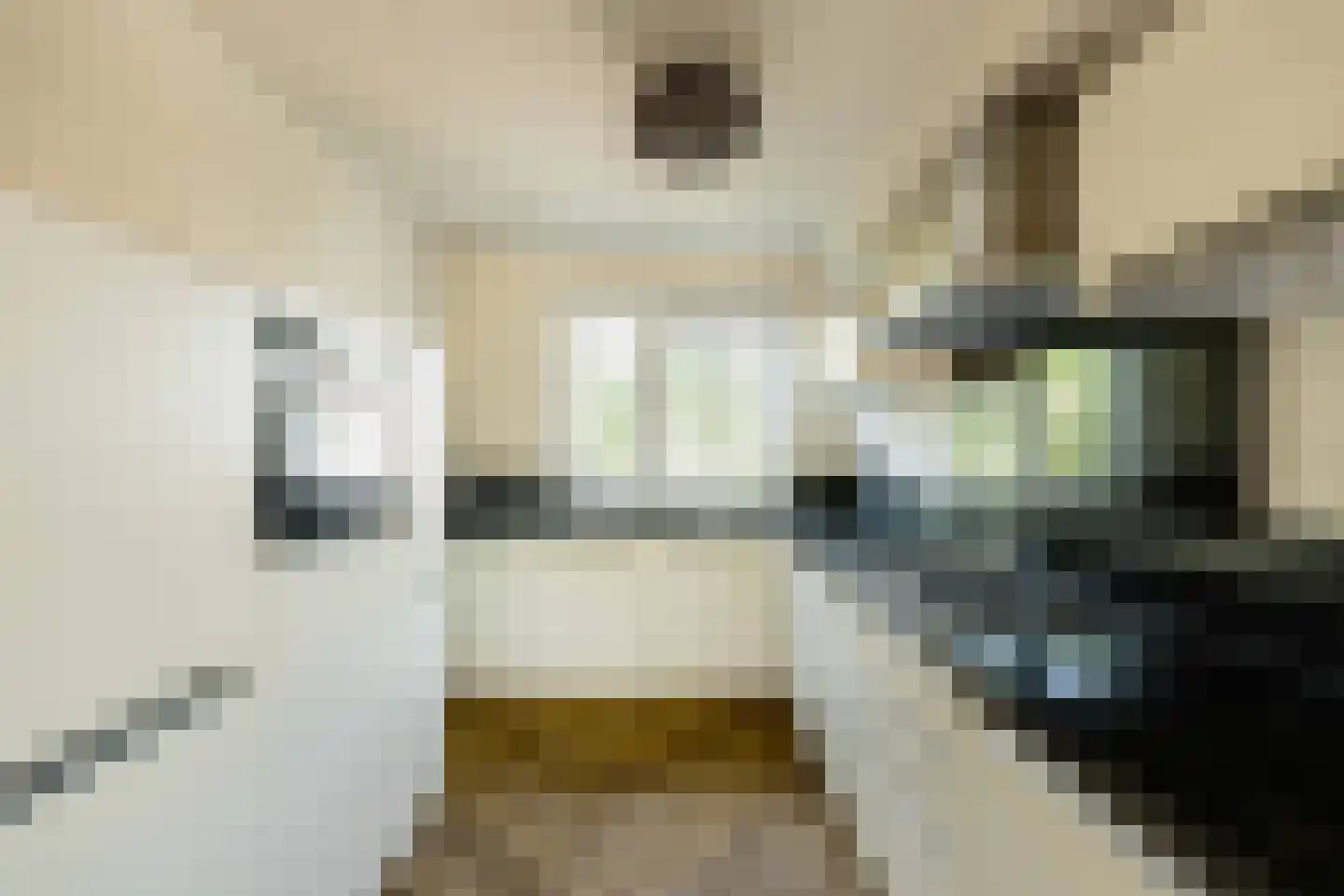 Tongelaer 96 Hillegom thumbnail 12