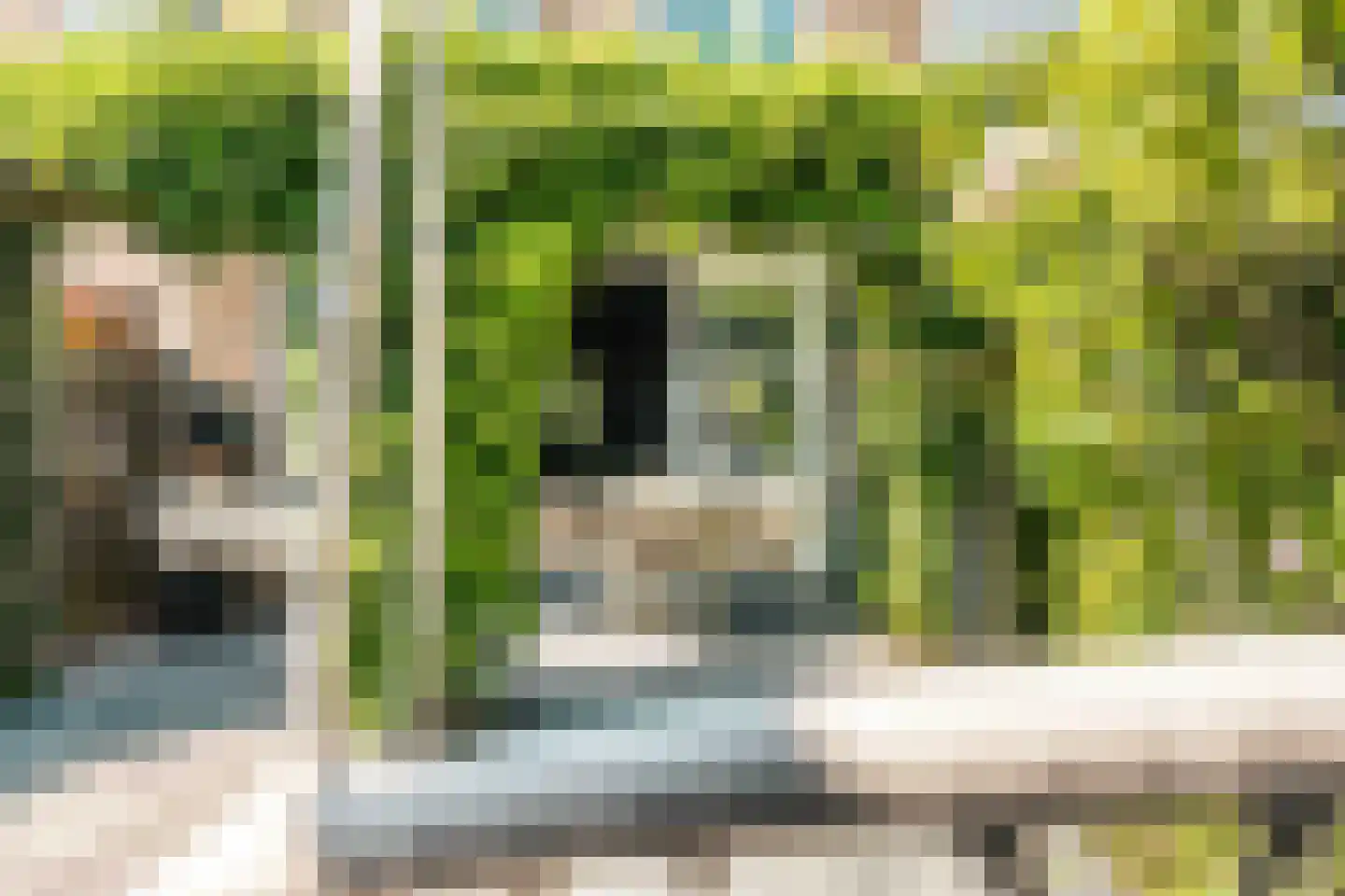 Tongelaer 96 Hillegom thumbnail 31