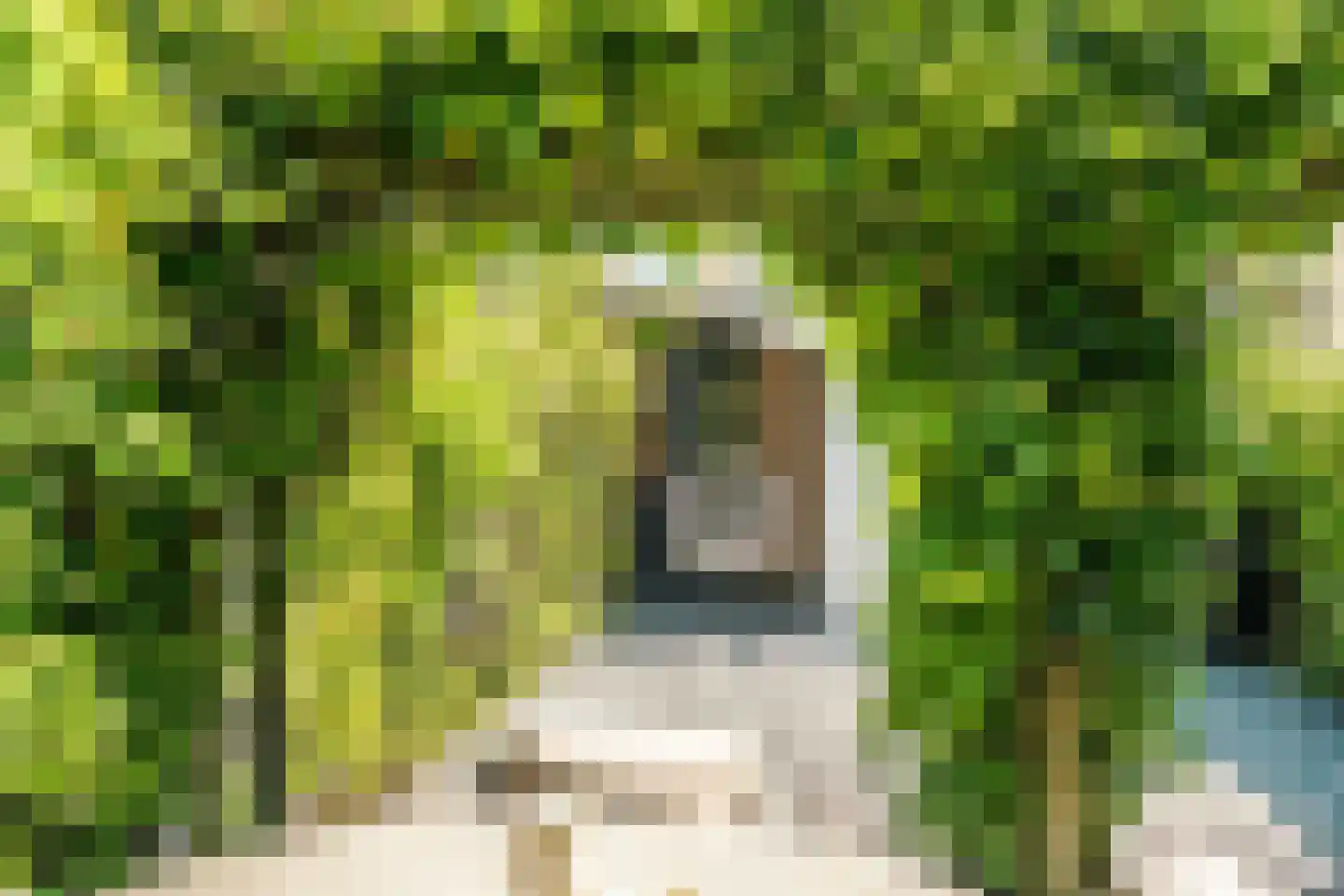 Tongelaer 96 Hillegom thumbnail 34