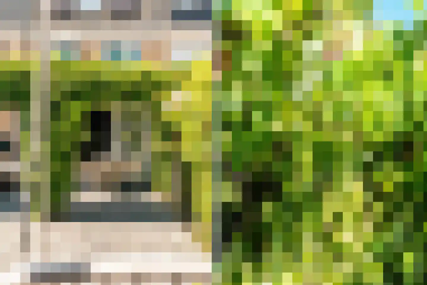 Tongelaer 96 Hillegom thumbnail 36