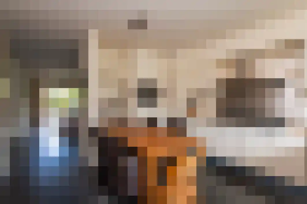 Tongelreep 11 Tilburg thumbnail 21