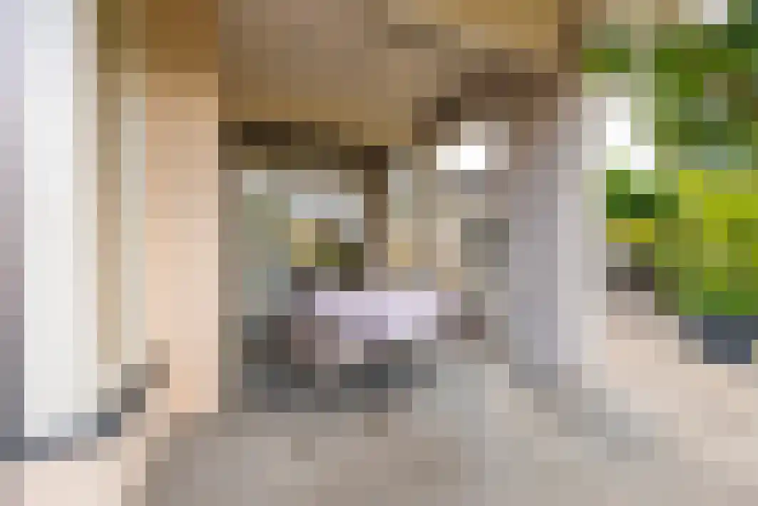 Tongelreep 11 Tilburg thumbnail 42