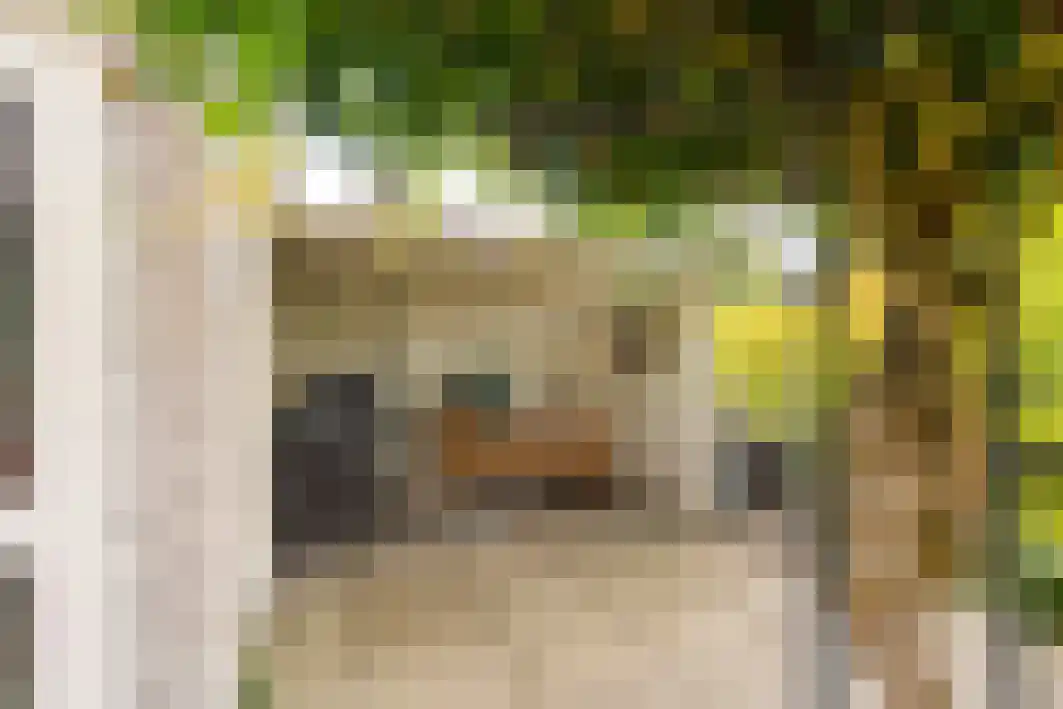 Tongelreep 11 Tilburg thumbnail 43