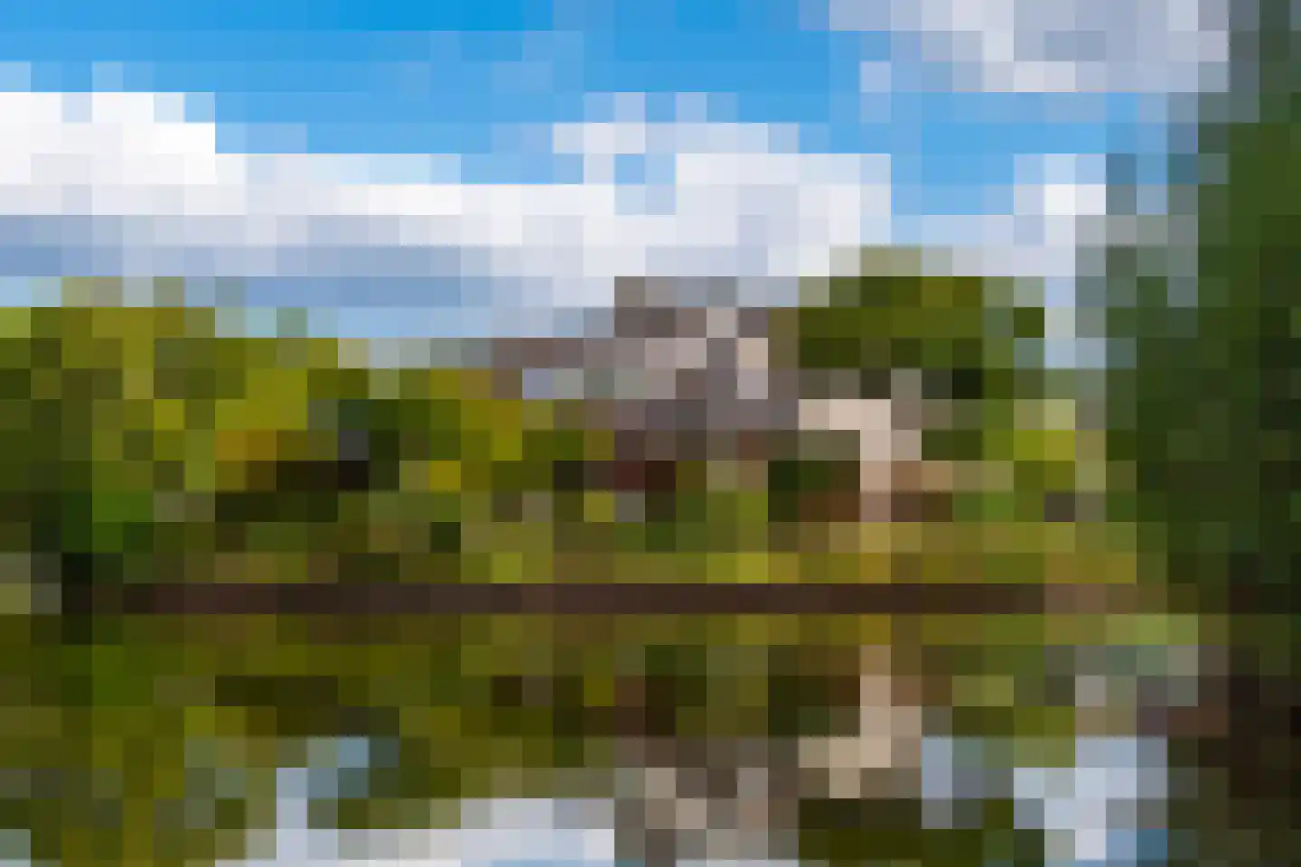Tongelreep 11 Tilburg thumbnail 6