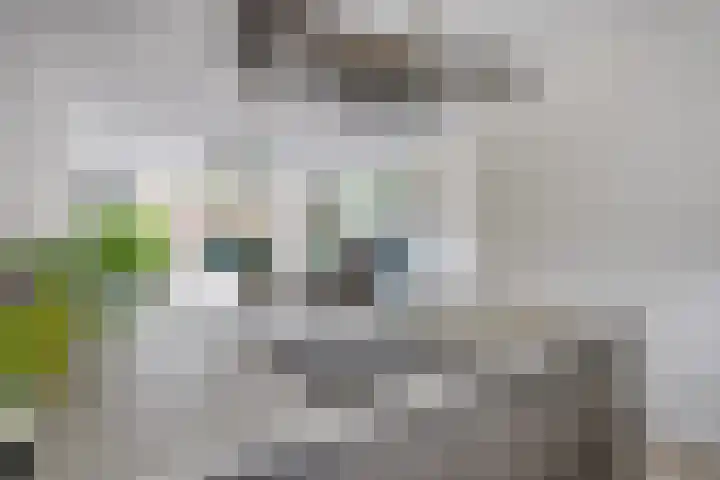 Tongelreep 12 Valkenswaard thumbnail 14