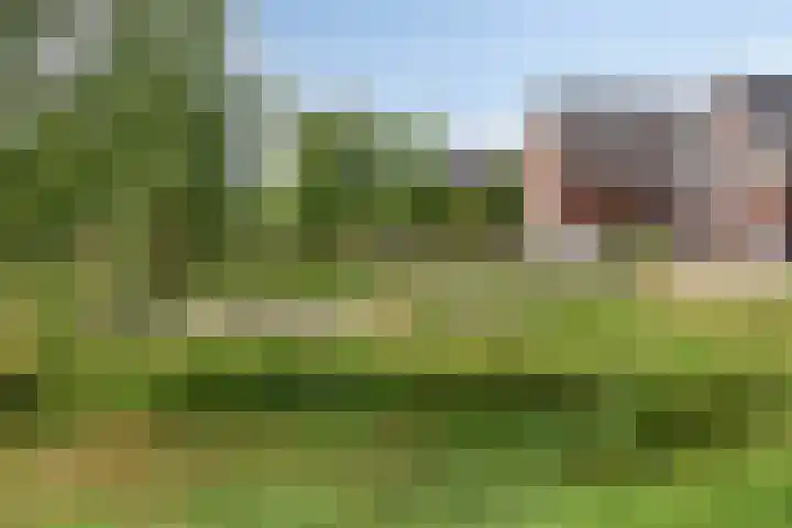 Tongelreep 12 Valkenswaard thumbnail 31