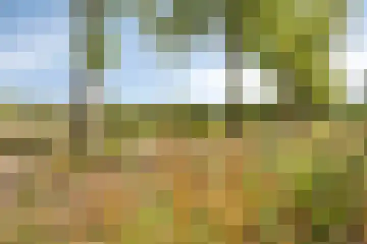 Tongelreep 12 Valkenswaard thumbnail 32