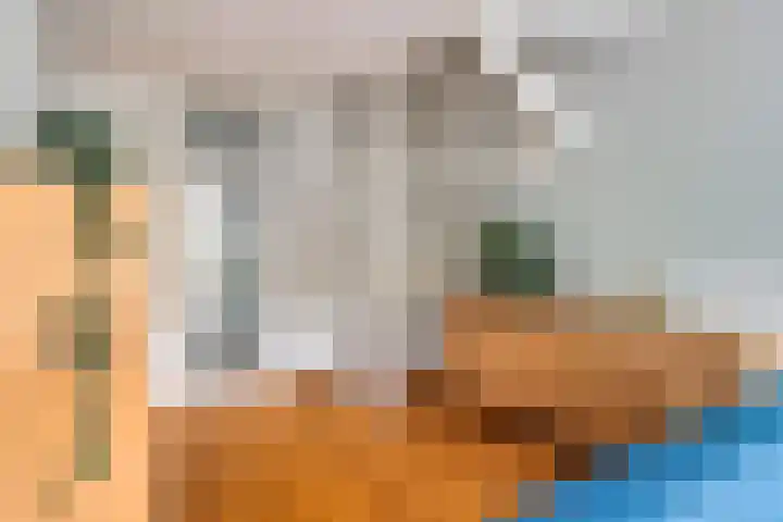 Tongelreep 13 Oisterwijk thumbnail 15