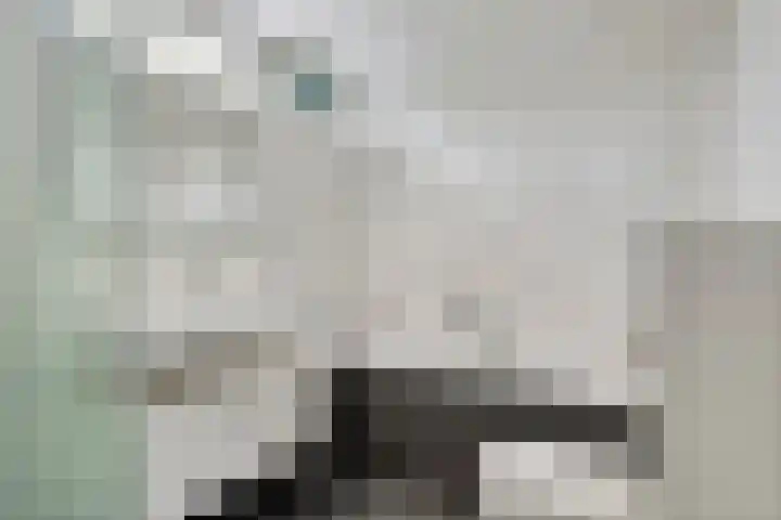 Tongelreep 13 Oisterwijk thumbnail 24