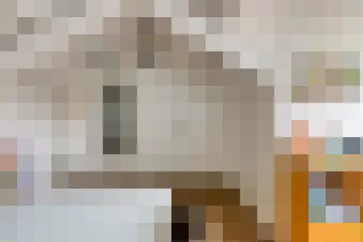 Tongelreep 13 Oisterwijk thumbnail 27