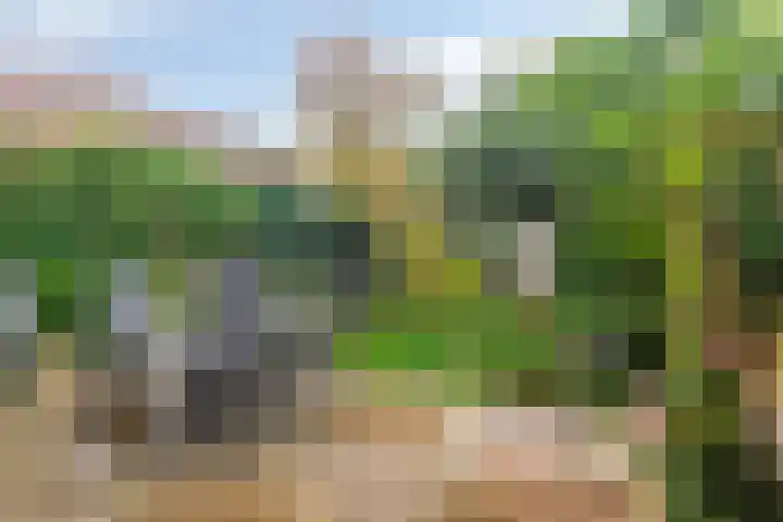 Tongelreep 13 Oisterwijk thumbnail 29