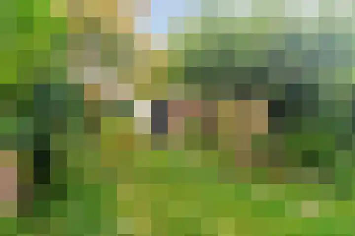 Tongelreep 13 Oisterwijk thumbnail 30