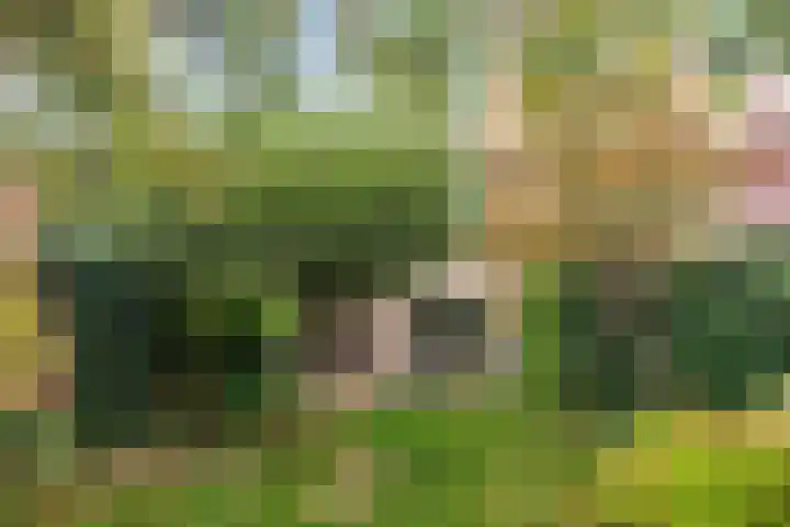 Tongelreep 13 Oisterwijk thumbnail 31