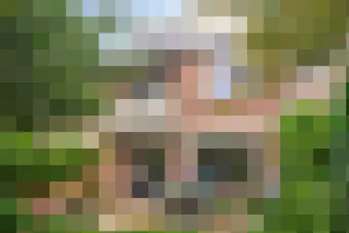 Tongelreep 13 Oisterwijk thumbnail 32