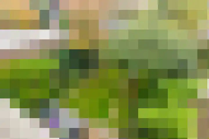 Tongelreep 13 Oisterwijk thumbnail 33