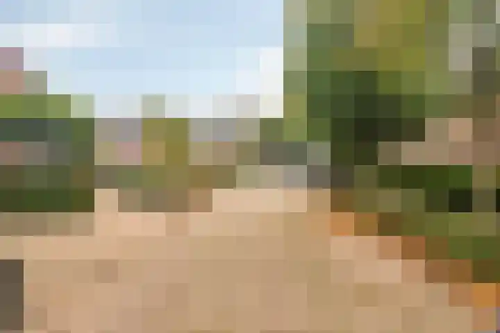 Tongelreep 13 Oisterwijk thumbnail 34