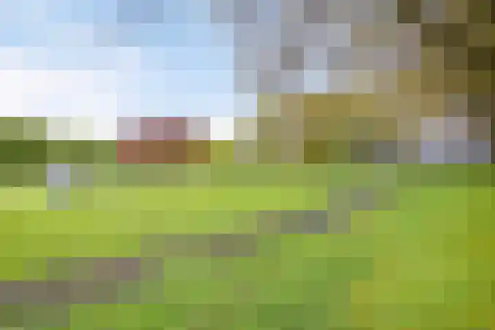 Tongelreep 13 Oisterwijk thumbnail 36