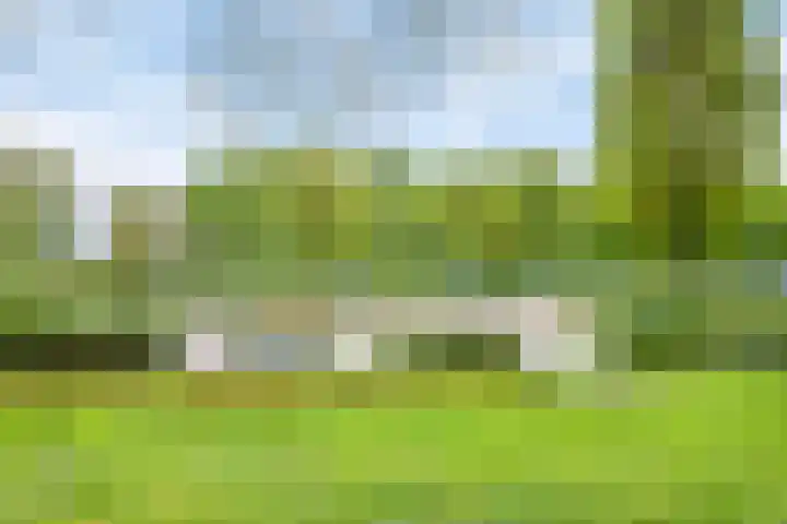Tongelreep 13 Oisterwijk thumbnail 37