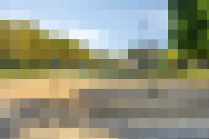 Tongelreep 13 Oisterwijk thumbnail 38